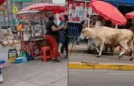 Un toro de gran tama�o genera p�nico frente al mercado San Pedro de Lur�n
