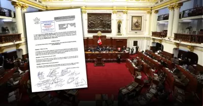 Documento se�ala que la normativa vigente desnaturaliza el derecho ciudadano.