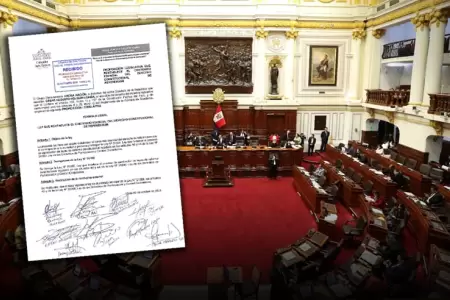 Documento se�ala que la normativa vigente desnaturaliza el derecho ciudadano.