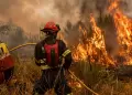 Especialista plantea instalar cinco mil grifos forestales para combatir los incendios en el territorio