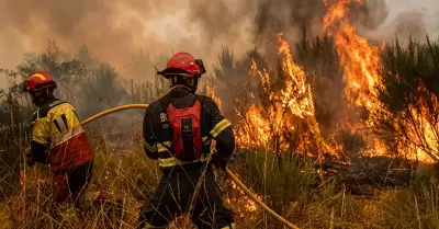 Propuesta innovadora para mitigar incendios forestales.