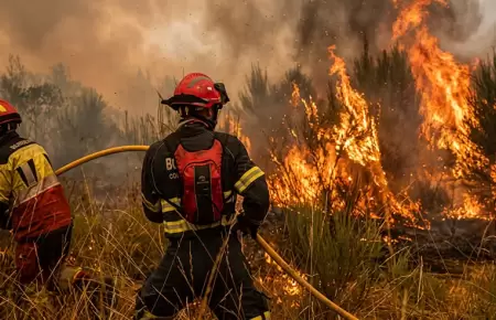 Propuesta innovadora para mitigar incendios forestales.
