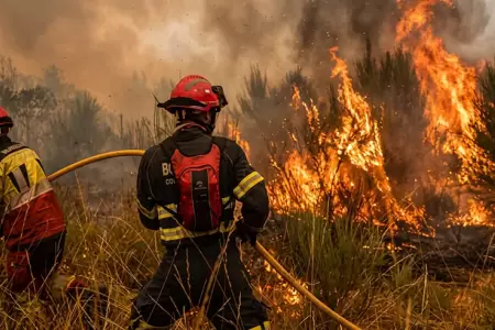 Propuesta innovadora para mitigar incendios forestales.