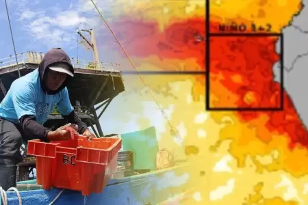 El sector pesquero es afectado por El Ni�o.