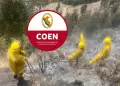 Per� registra cero incendios forestales activos, informa el Centro de Operaciones de Emergencia Nacional