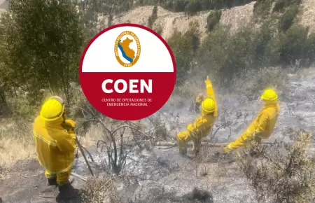 Ya no hay Incendios forestales activos en Per� de acuerdo a un reporte del COEN