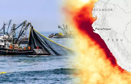 Pesca industrial estar�a en crisis por El Ni�o.
