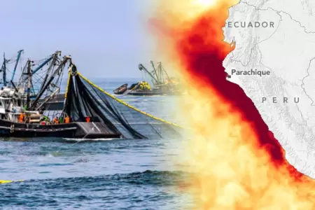 Pesca industrial estar�a en crisis por El Ni�o.