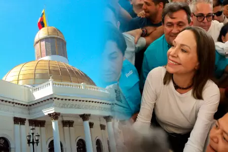 Representantes del parlamento elegido en 2015 destacan retorno.