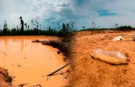 Madre de Dios: PNP halla fosa común con restos de dos personas en zona golpeada por la minería ilegal