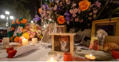 D�a de Muertos de las mascotas