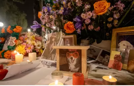 D�a de Muertos de las mascotas