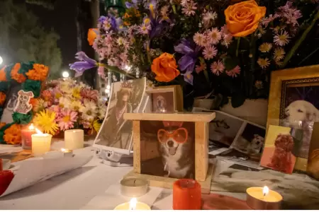 D�a de Muertos de las mascotas