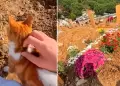 Pidi� una se�al a su padre fallecido y vivi� un momento INESPERADO que conmovi� en las redes sociales