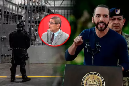 Exministro advirti� inviabilidad del mismo modelo en Per�.