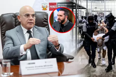 Comitiva espera nutrirse de la experiencia salvadore�a.