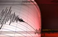 SISMO de 4.6 remece Per� HOY, jueves 29 de octubre: conoce el epicentro, seg�n el reporte del IGP
