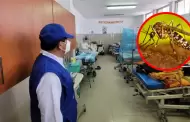 Dengue en el Perú: víctimas mortales ascienden a 82 y contagios superan los 80 mil