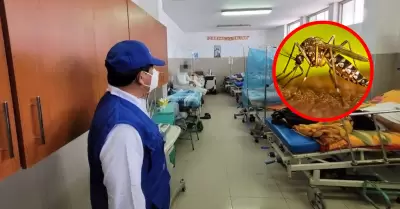 82 fallecidos en el Per� a causa del dengue.
