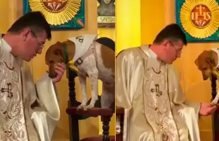 Sacerdote al lado de su perrita Nina.