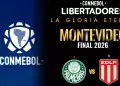 CONMEBOL tomar� medidas legales ante agencias que ofrecen entradas falsas para la final de la Libertadores
