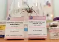 Per� produce ant�doto contra la mordedura de la ara�a casera a trav�s del Instituto Nacional de Salud