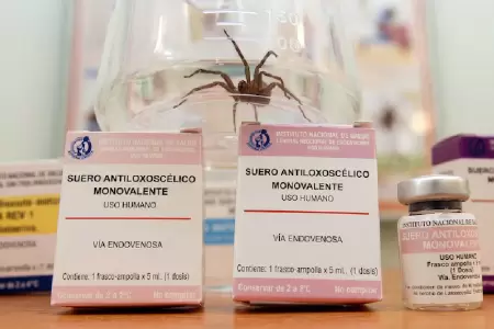 El pa�s produce ant�doto.