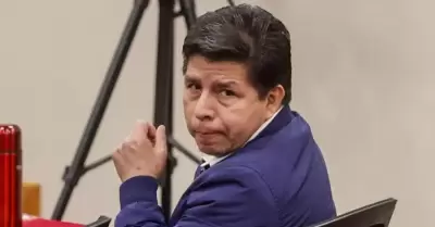 Presentan proyecto para amnistiar a Pedro Castillo.